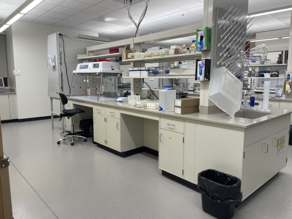  Texas Tech Lab 1