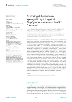 Exploring diflunisal as a synergistic agent against Staphylococcus aureus biofilm formation